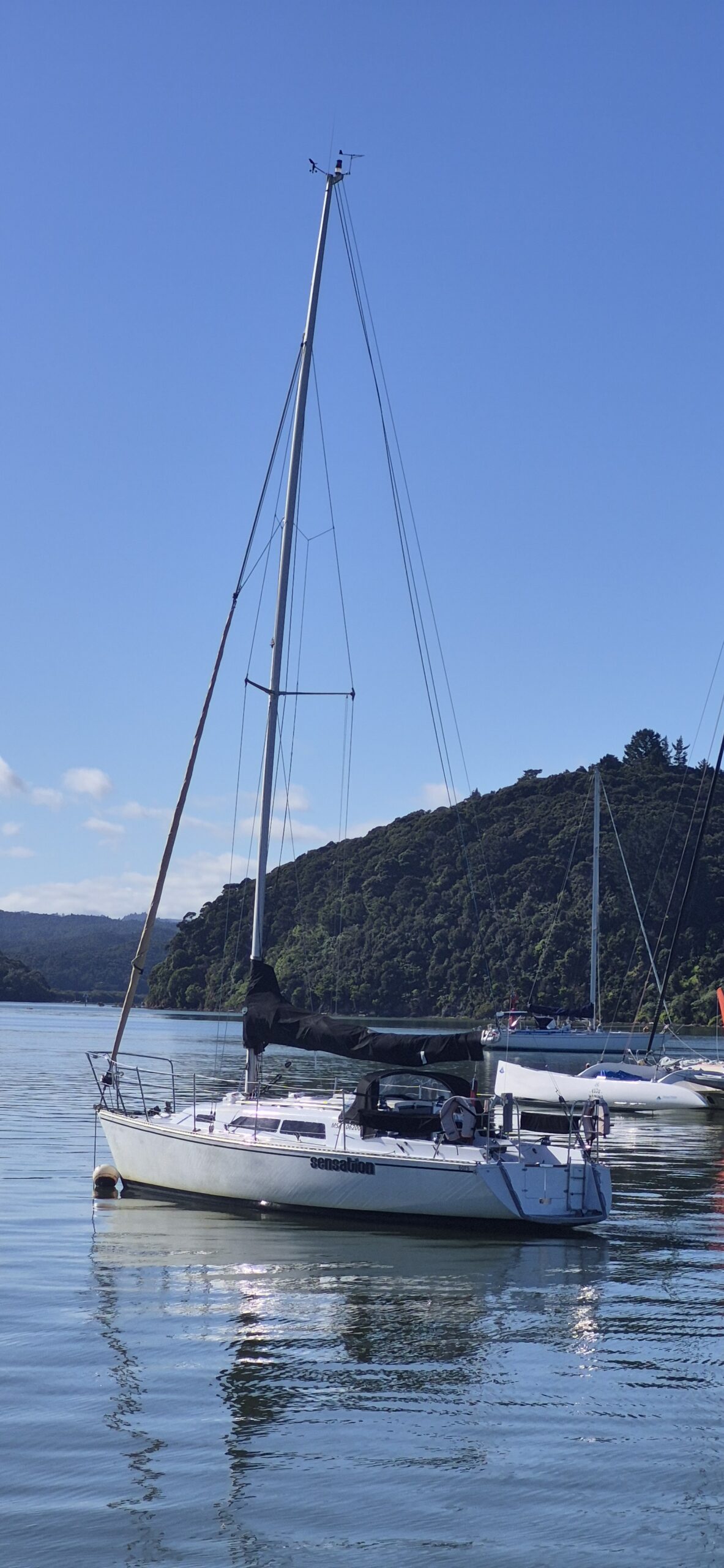 Sensation gallery image 12