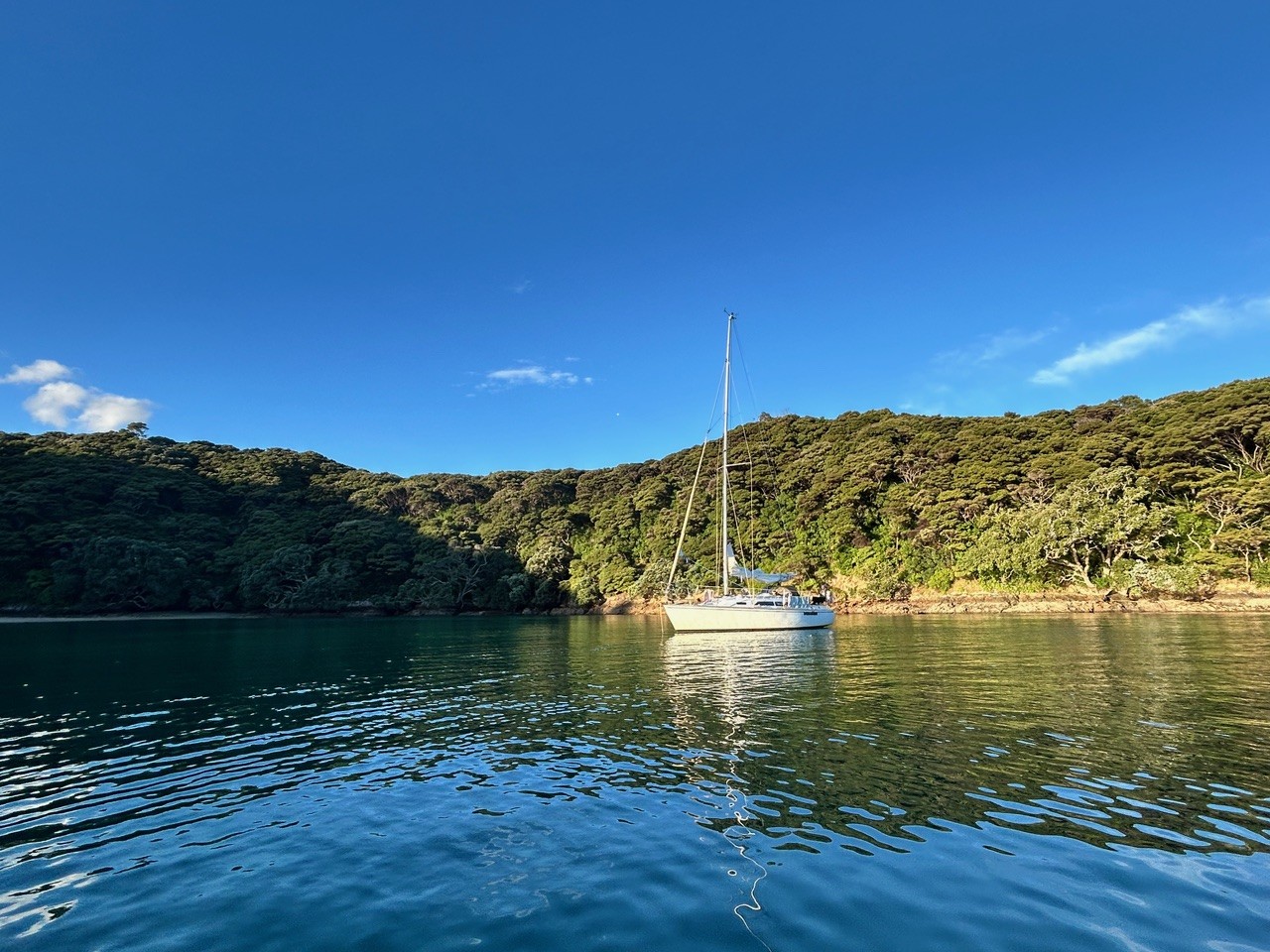 Sensation gallery image 19